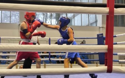 Zadar i dvorana Jazine domaćin Prvenstva Hrvatske u boksu za mlađe seniore i seniore U23